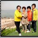 경산압량초등학교 이미지