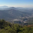 예산-01 이미지