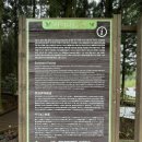 남조로사려니숲길 앞 이미지