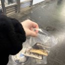 더그릭베어 강남N타워점 이미지