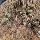 기운농장 이미지