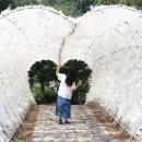 대가야테마관광지 야외무대 이미지