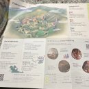 샴푸관광나이트크럽 | [제천여행] 포레스트 리솜 S30 숙박 후기(+ 브이탑스파, 해브나인스파, 나이트스파, 둥지치킨, 배론성지...