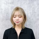 아르결 이미지