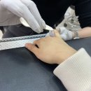 달콤네일 이미지