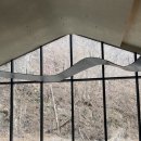 커피459