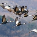 주남저수지 이미지