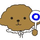 리본반려견 유치원 이미지