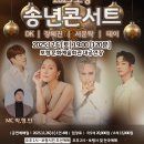 보령 송년콘서트 네이버블로그