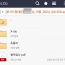 루시드동물메디컬센터