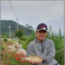 군동천 이미지