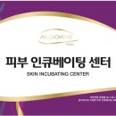 신데렐라피부샵 - 포항시 남구 | 신데렐라피부샵
