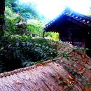 주)민속촌 이미지
