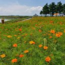 꽃길따라 이미지