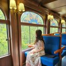 1/10~11일/글램핑과 스위치백트레인 회상의조각 하슬라아트와 외옹치향기로 이미지