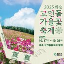 지동길 | 2025 화순 고인돌 가을꽃 축제 무료입장 꿀팁 총정리｜일정·프로그램·포토존 완벽 가이드