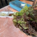 뫼골산장 이미지