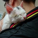 이상윤동물병원 이미지