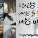 월드용인대석사태권도 이미지