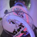 제천국제발효박물관 이미지