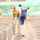 행복농장 3 이미지