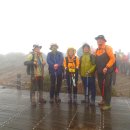 신불산(神佛山1,209m)을 다녀왔습니다. 이미지