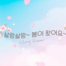 소나무한의원 네이버블로그