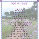 시티툴 이미지