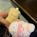 한신이젠수학 | 내가 사랑하는 계절이 왔다