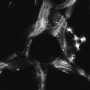 교통공원 사거리 이미지