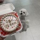 에코이뷰 이미지