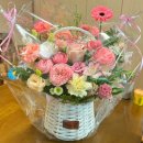 상원농원 이미지