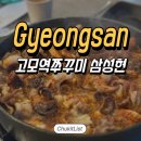 팔도커피경산 | 경산 신상맛집 드디어 오픈한 고모역쭈꾸미 삼성현점 내돈내산 후기