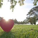 누리공익행정사사무소 이미지