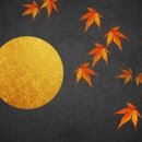하리아쉬탕가요가 - 계양구 계양대로 96 | 하리아쉬탕가요가