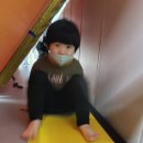 용인대 지노태권도 이미지