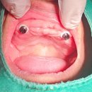 사랑으로치과의원 이미지