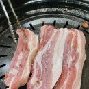 궁숯불돼지갈비