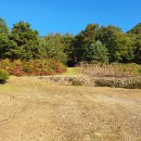 [금남기맥수봉]화산단맥종주-수봉산 화산(완주)-아들의 땀냄새가 묻어나는 길없는 고달픈 산줄기 이미지