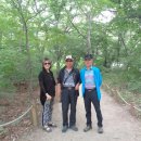 지리산(대구) 이미지