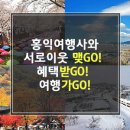 홍익여행(주)