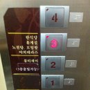 스파레이 이미지