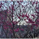 지리산한옥민박 이미지