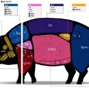 돼지꿈파는집 이미지