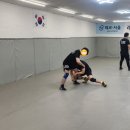 레코 서울 이미지