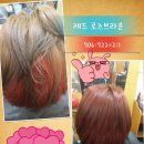 염색샾