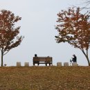 율동공원 이미지