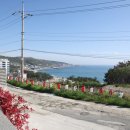 당근료칸풀빌라 이미지