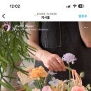 디바인플라워 이미지
