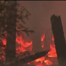 거제-거제-거제-비상-11 이미지